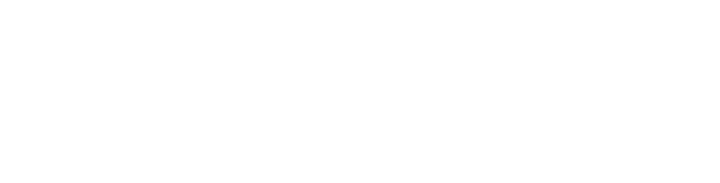We Wrap Boston